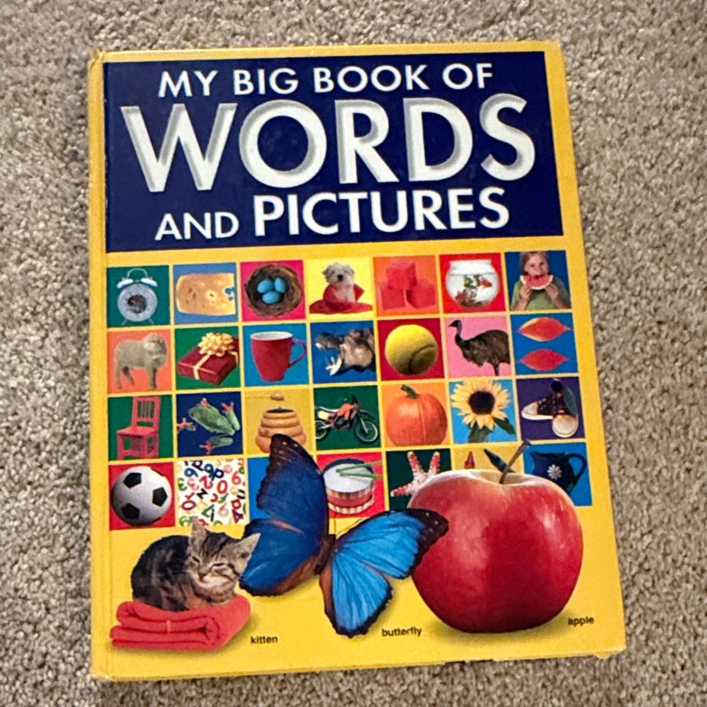 My big book of words and pictures Children's Book